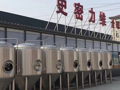 淮北精酿啤酒设备厂—如何判断精酿啤酒设备的密封件需要更换？